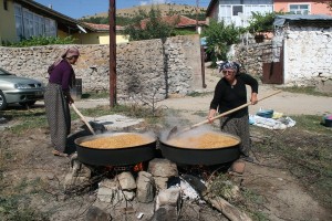 IMG_5972